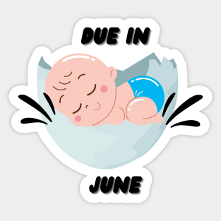 Due in June Gift Sticker